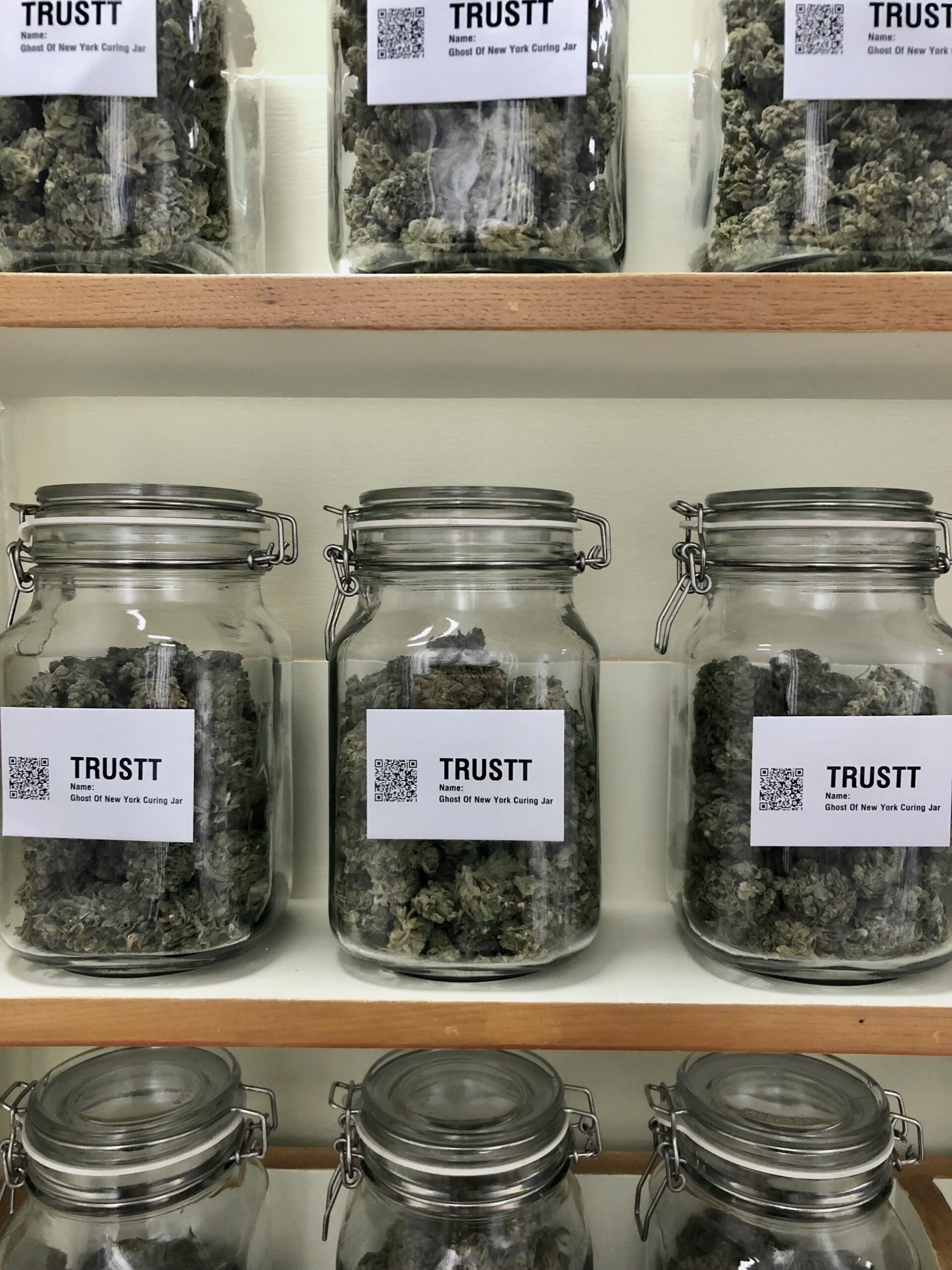 Siam Biolife’s Commitment to Quality